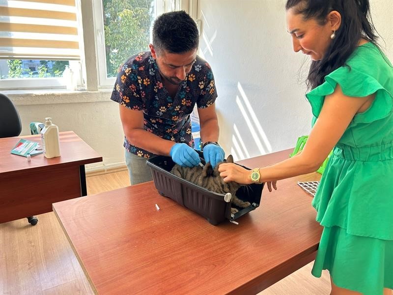 Adana&rsquo;da 2025&rsquo;te 3 bin 865 kedi ve 3 bin 577 k&ouml;peğe &ccedil;ip takıldı
