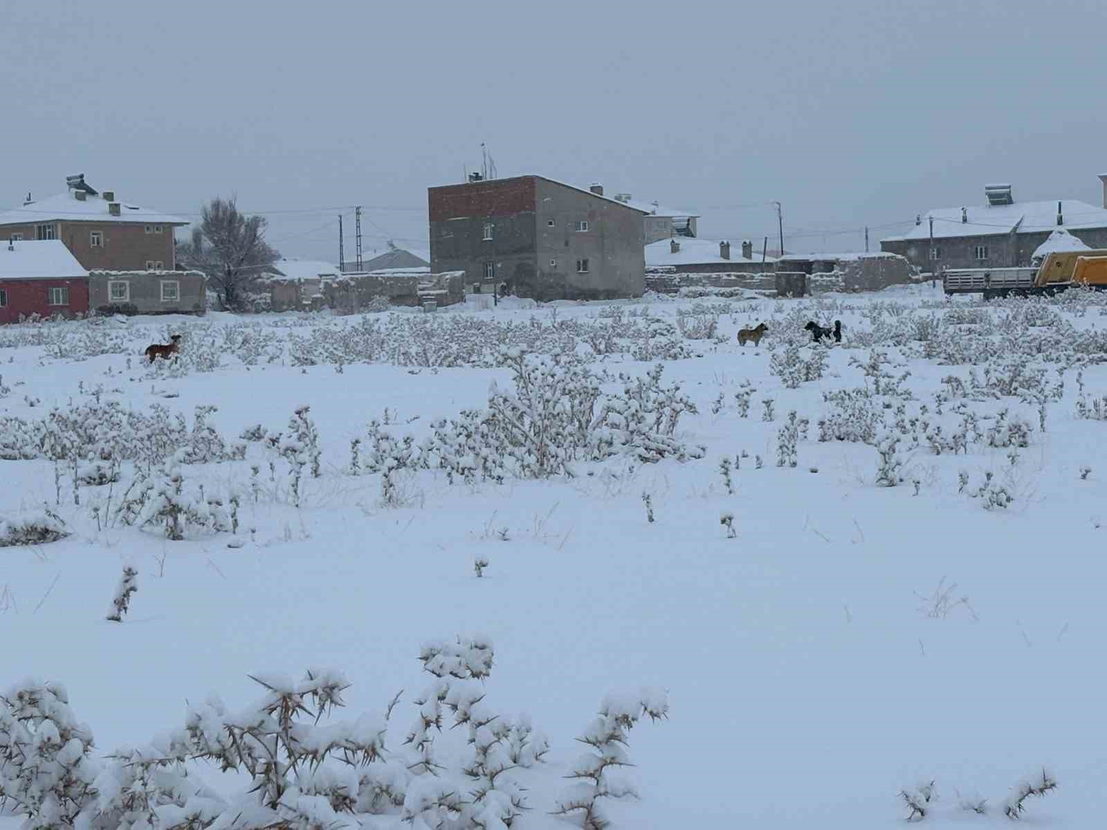 Diyadin&rsquo;de kar yağışı hayatı olumsuz etkiledi
