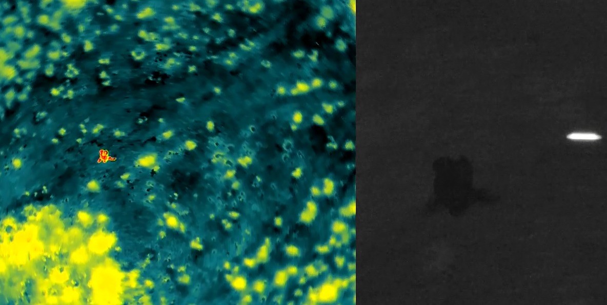 AFAD ekipleri kayıp zihinsel engelli vatandaşı termal kameralarla buldu
