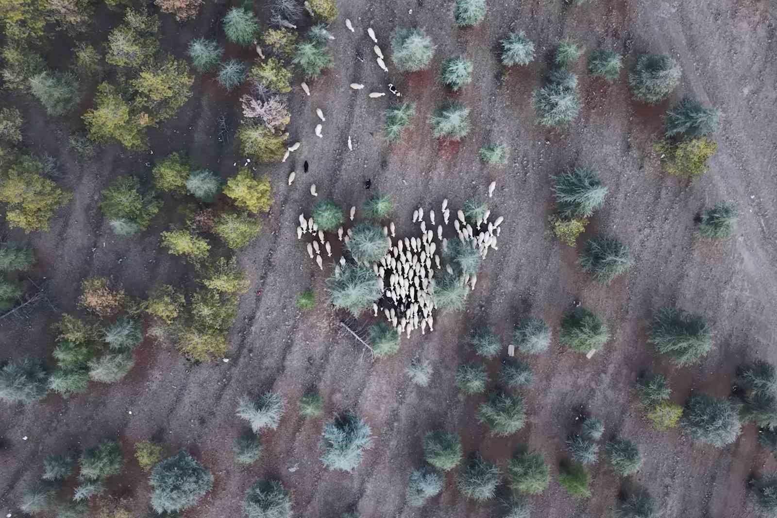 1 milyon 220 bin metrekarelik mera arazisinde "imar planı" iddiası: Müfettişler incelemeye aldı