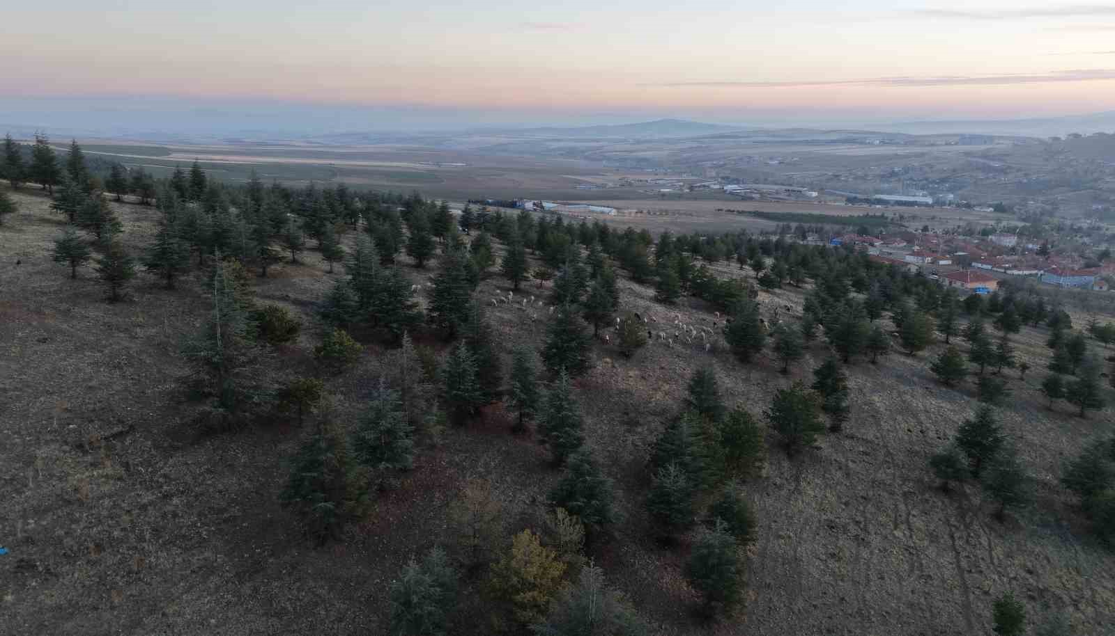 1 milyon 220 bin metrekarelik mera arazisinde "imar planı" iddiası: M&uuml;fettişler incelemeye aldı
