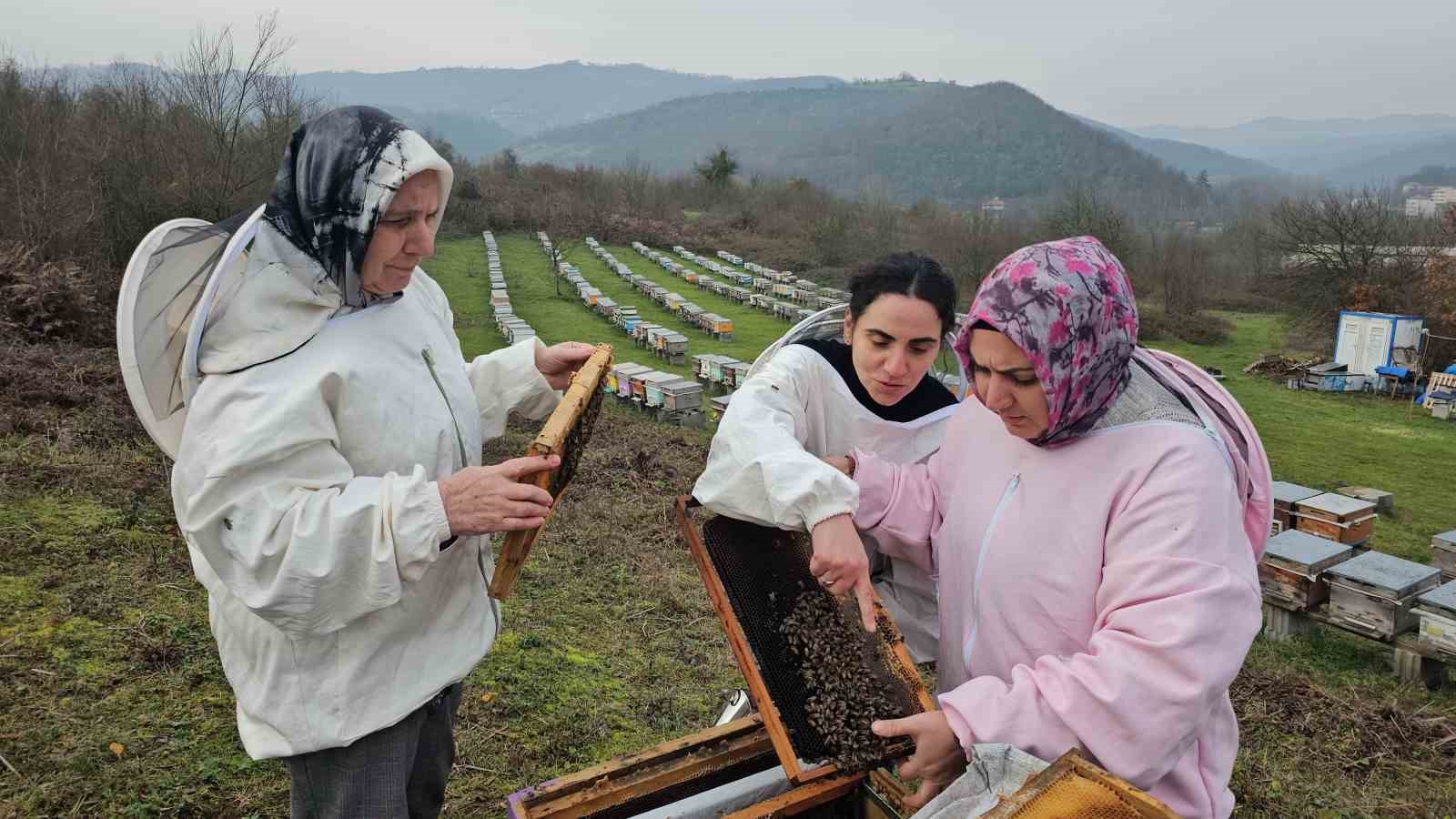 Zonguldak&rsquo;ta anne ve kızları arıcılık mesleğiyle kestane balı &uuml;retiyor
