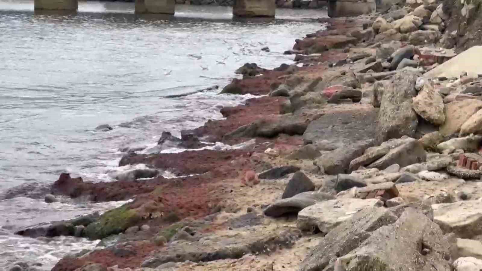 Tekirdağ&rsquo;da kuvvetli r&uuml;zgar sahili kırmızı yosunla kapladı
