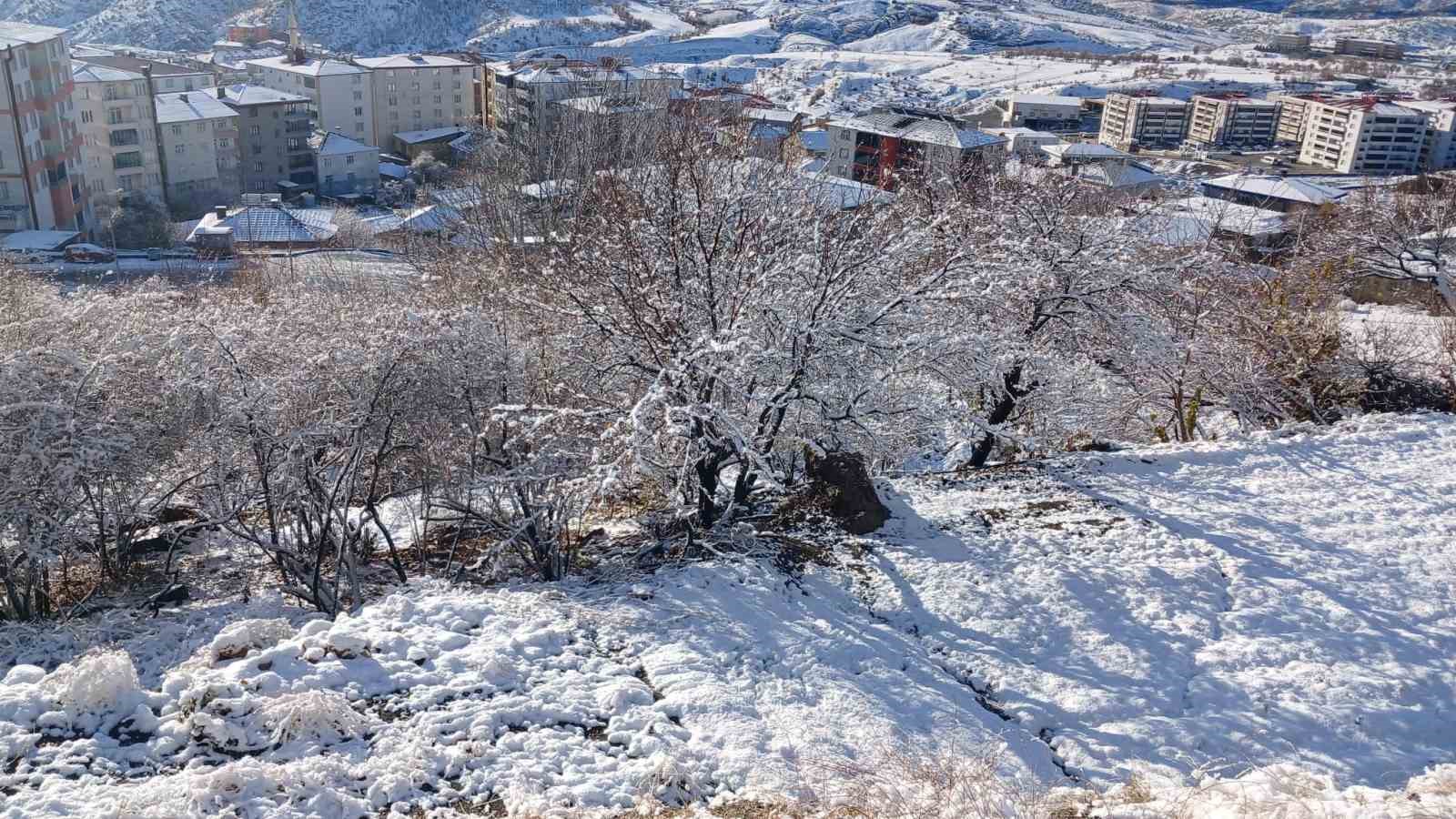 Kulp beyaza büründü