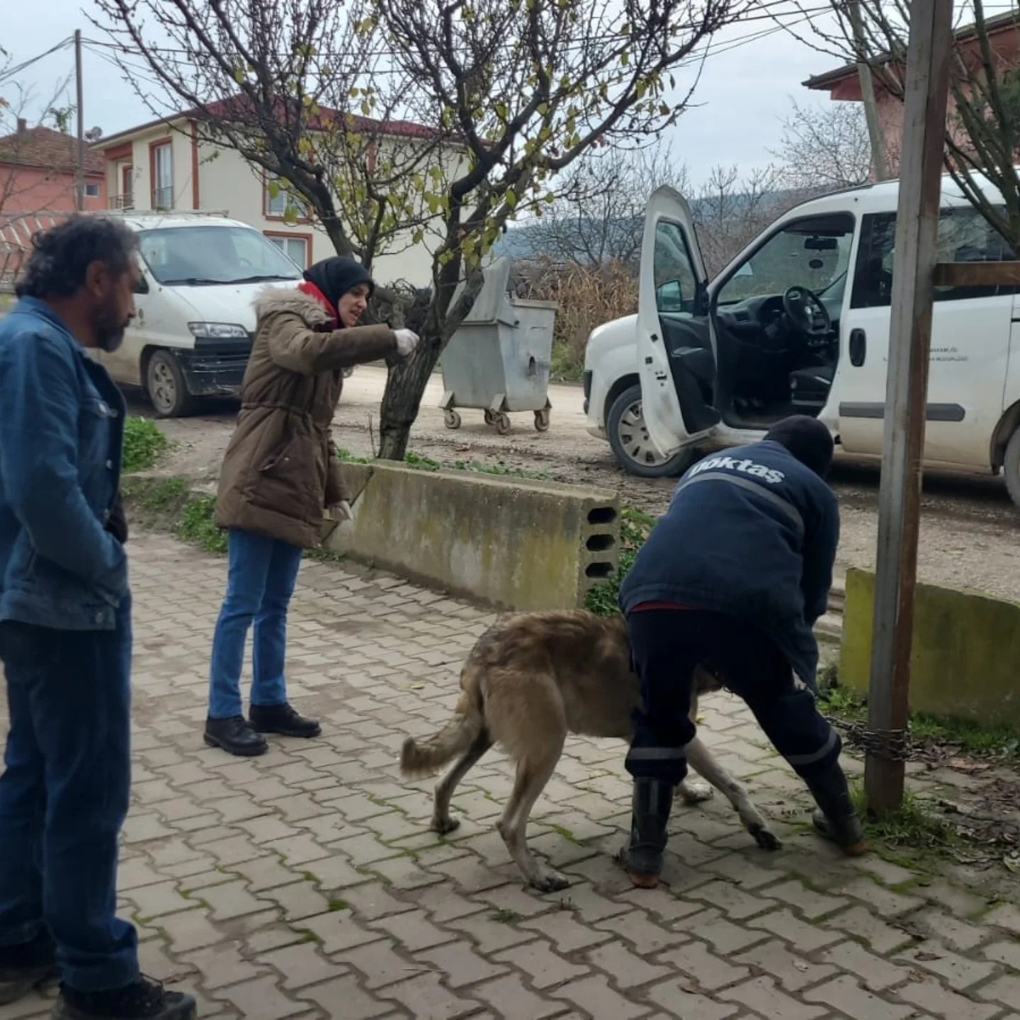 Bilecik’te evcil hayvanlar kayıt altına alınıyor
