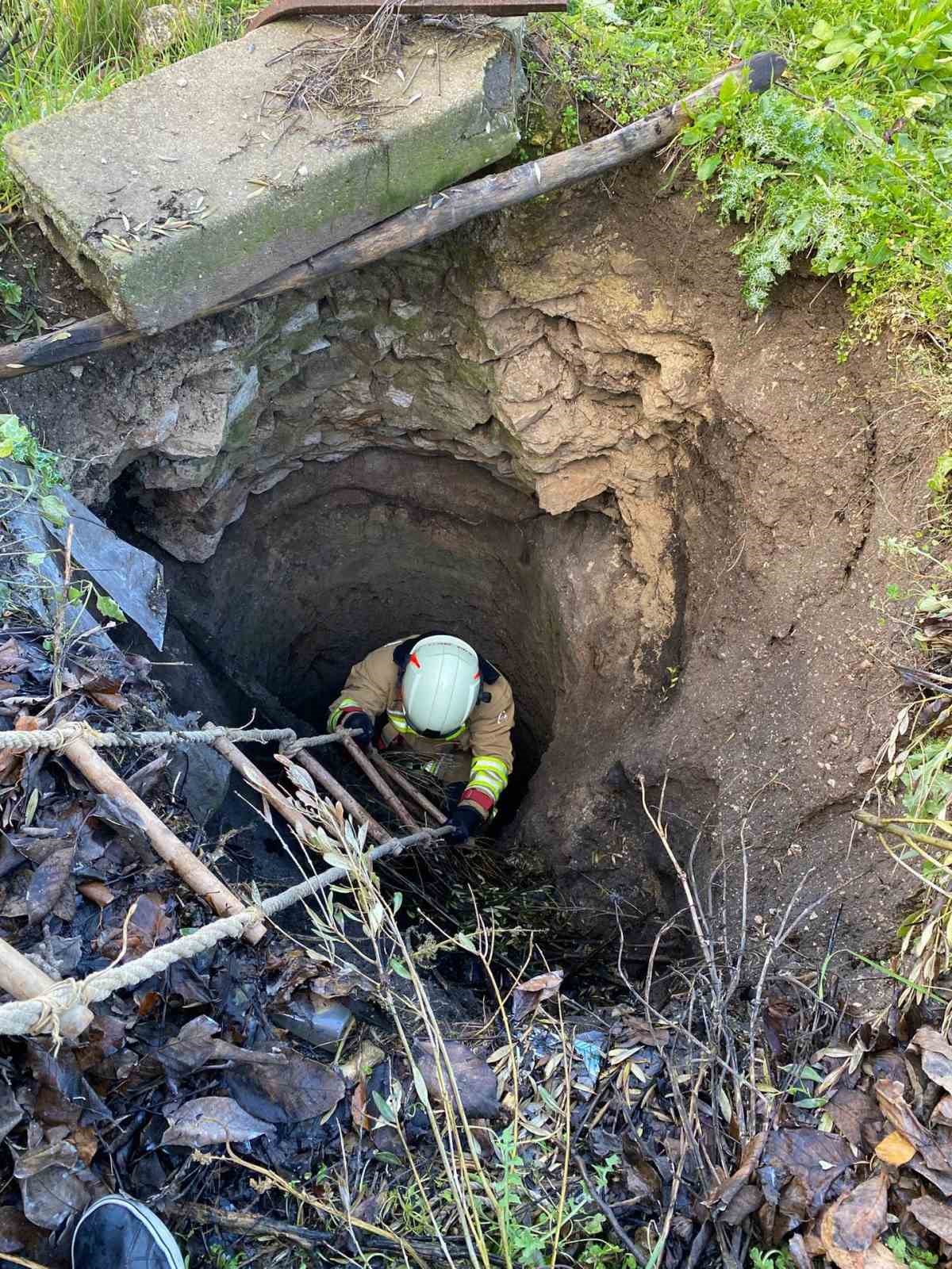 Kırkağaç’ta kuyuya düşen köpek itfaiye ekiplerince kurtarıldı