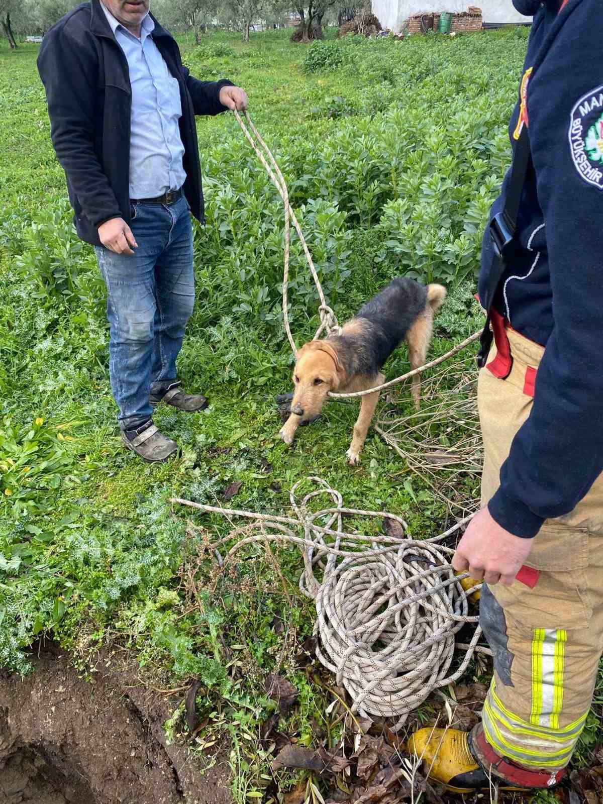 Kırkağa&ccedil;&rsquo;ta kuyuya d&uuml;şen k&ouml;pek itfaiye ekiplerince kurtarıldı
