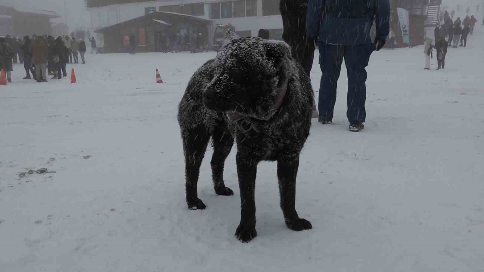 Uludağ&rsquo;a haftasonu akını
