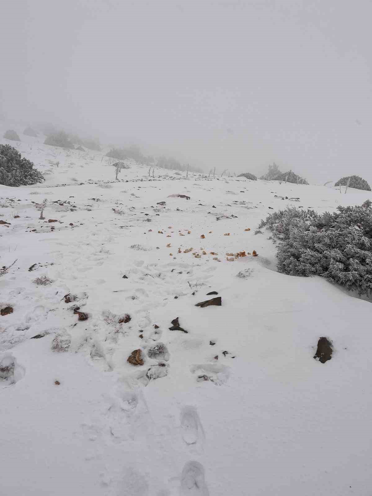 Halkapınar&rsquo;da kar yağışı etkili oluyor
