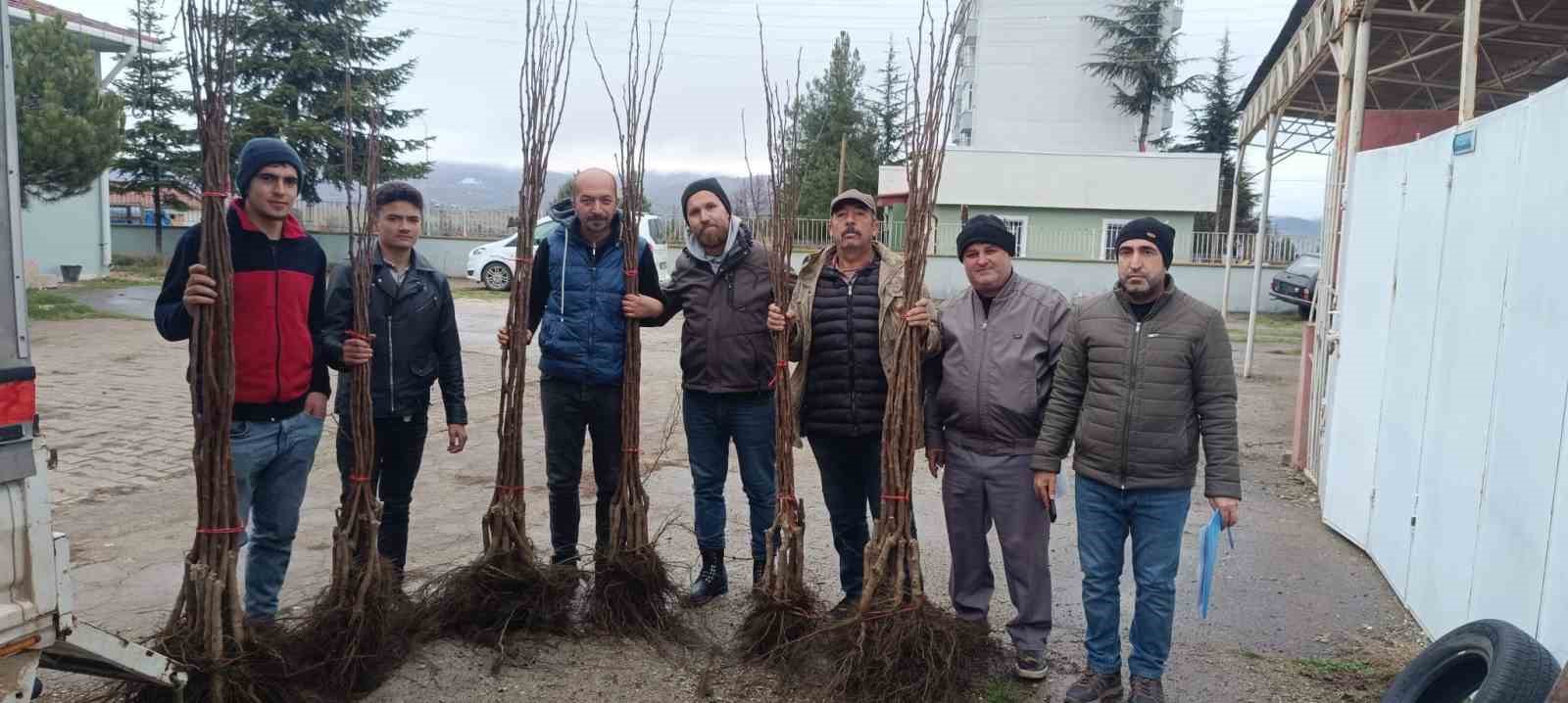 "Meyveciliği Geliştirme" projesi Pazaryeri’nde hayata geçti