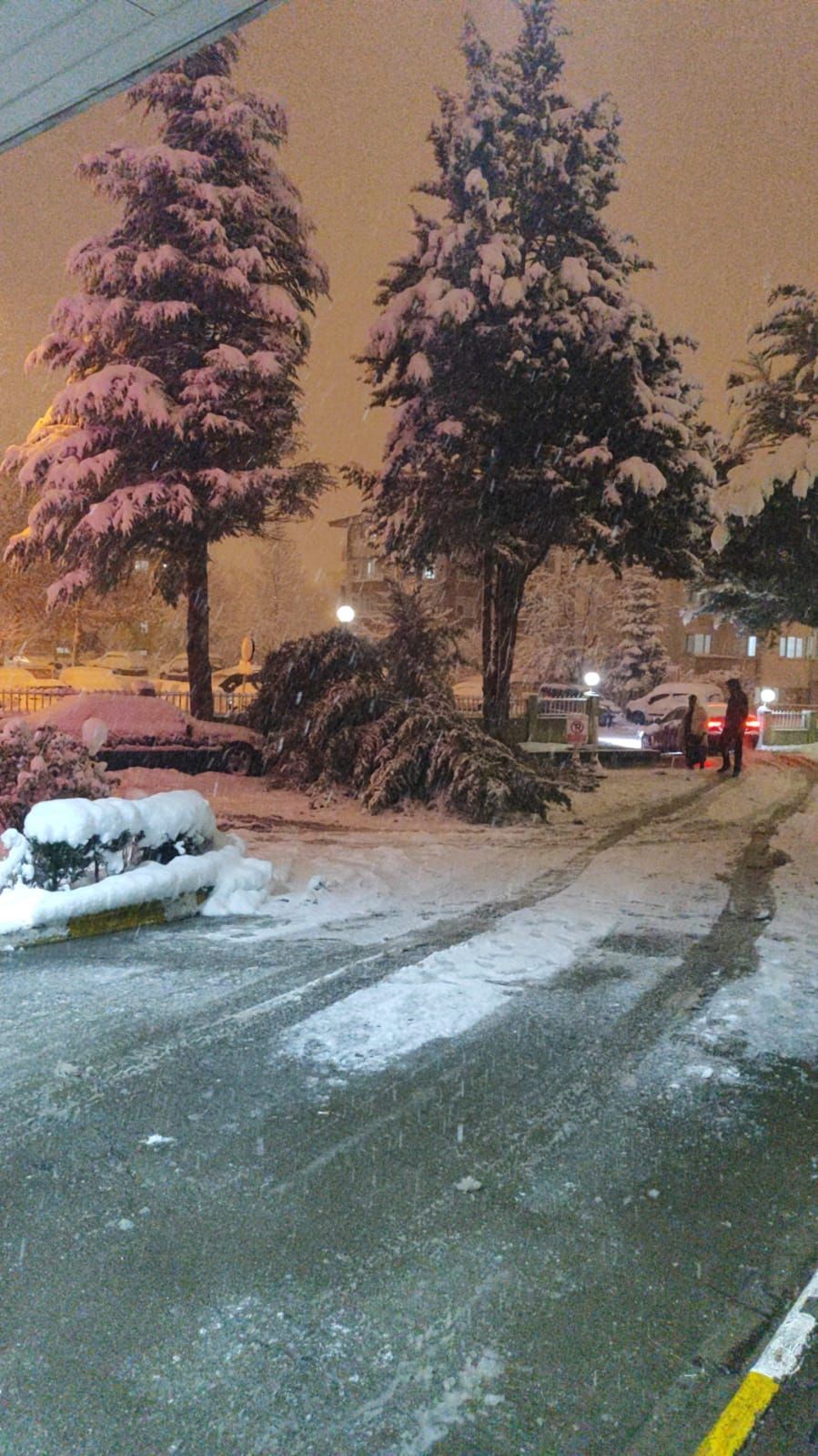 Bolu&rsquo;da park halindeki ara&ccedil;ların &uuml;zerine ağa&ccedil; devrildi
