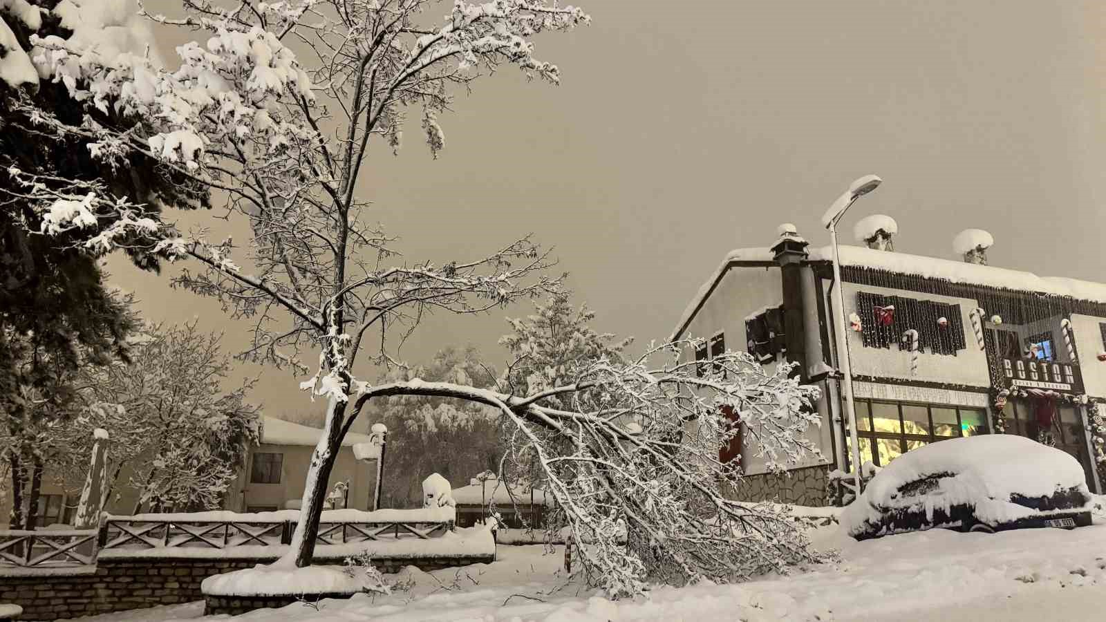 Karabük’te kar ağırlığına dayanamayan çok sayıda ağacın dalların kırıldı