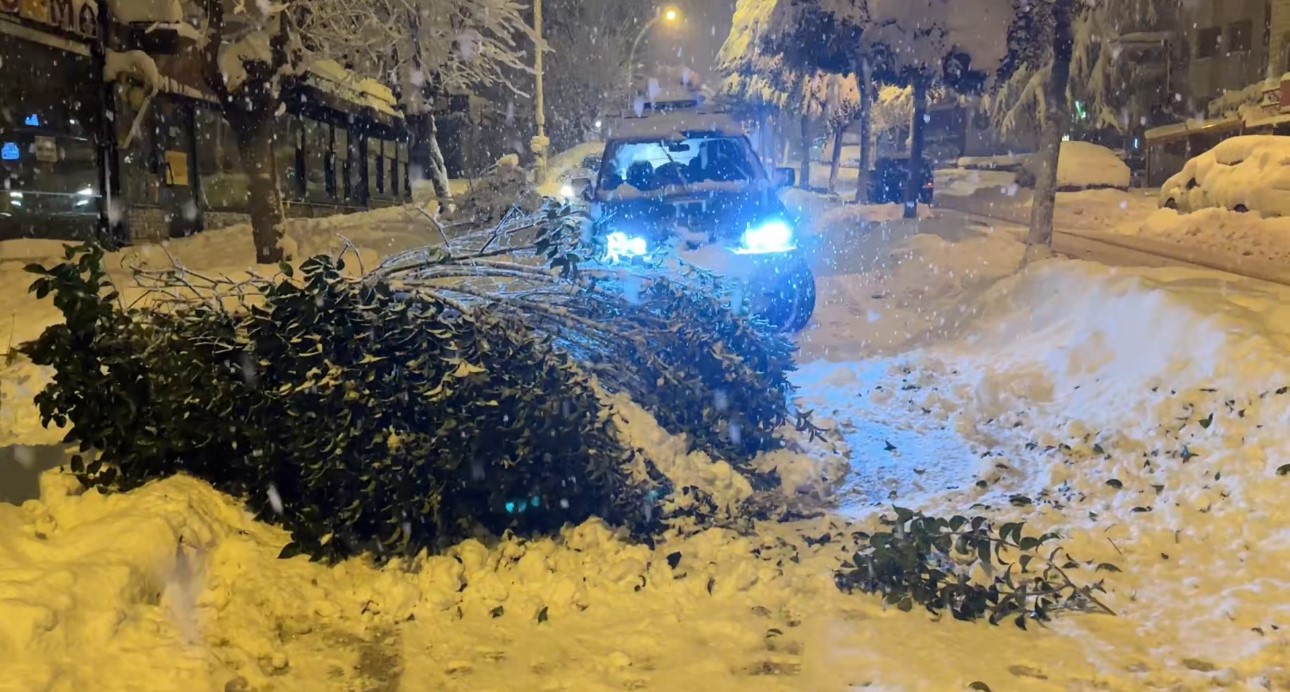Karabük’te kar ağırlığına dayanamayan çok sayıda ağacın dalların kırıldı
