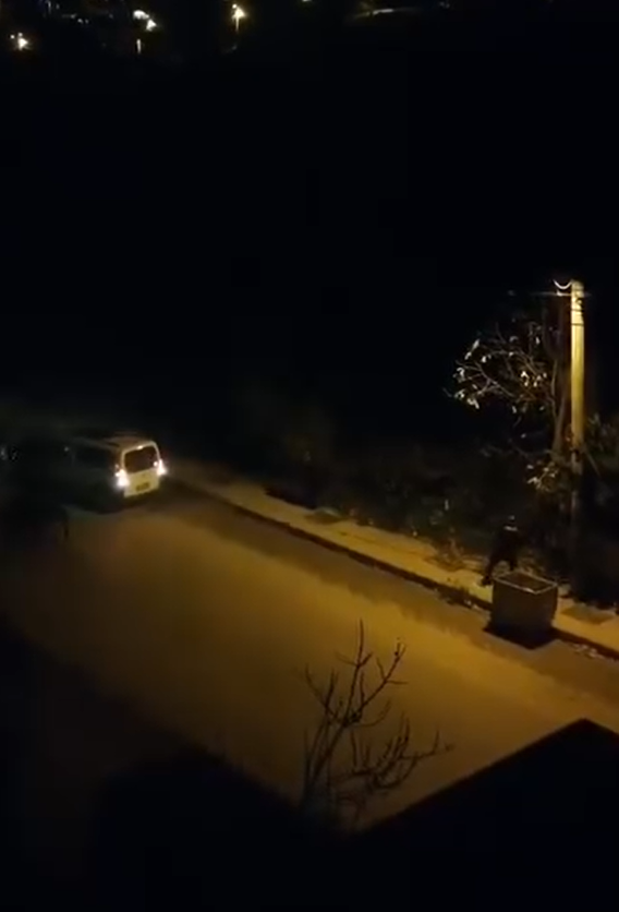 Yalova&rsquo;da DEAŞ ter&ouml;r &ouml;rg&uuml;t&uuml;ne operasyonda polise ateş a&ccedil;ıldı: 7 polis yaralı
