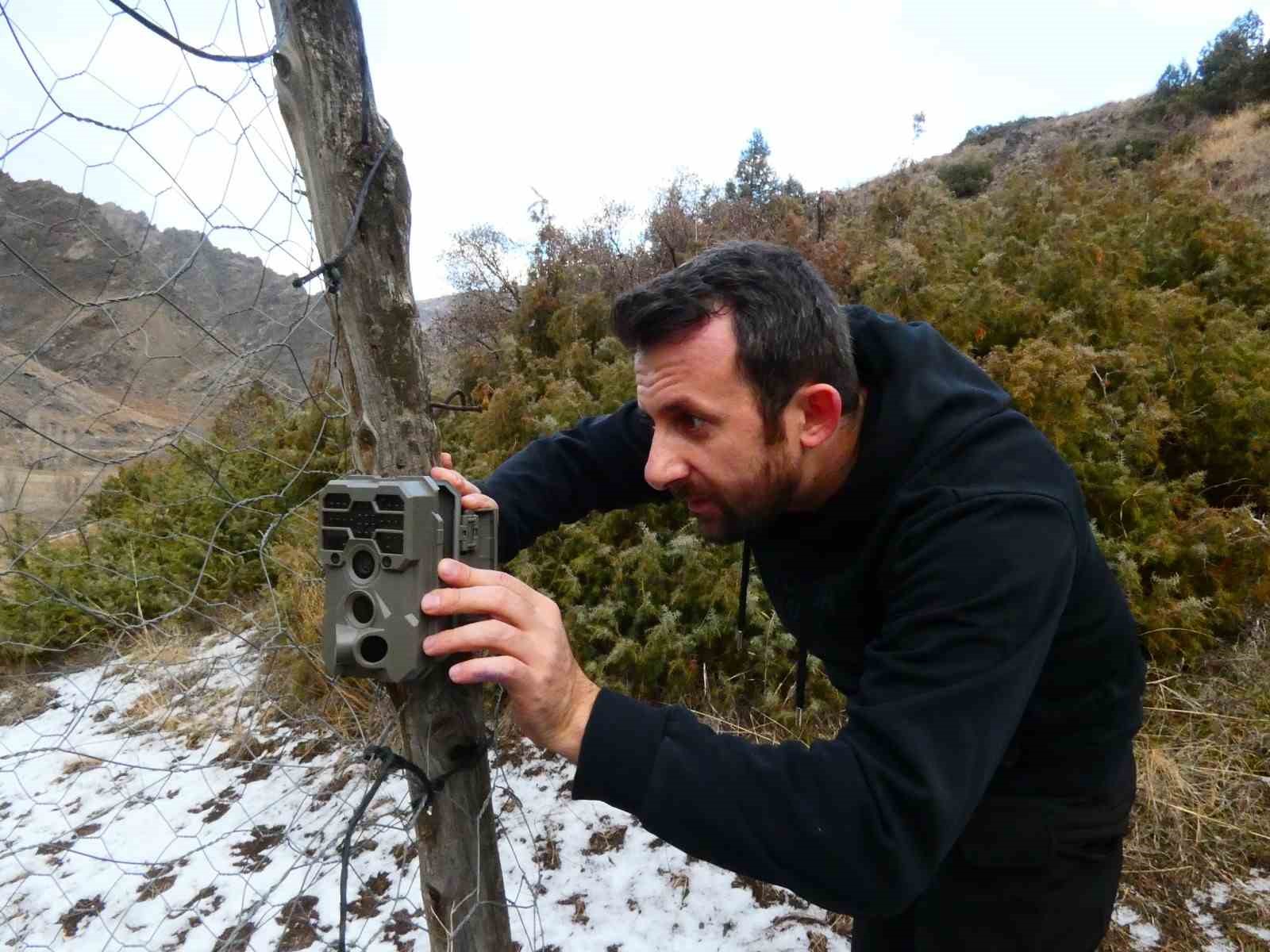 Erzurum&rsquo;da yaban hayatı fotokapanlara takıldı
