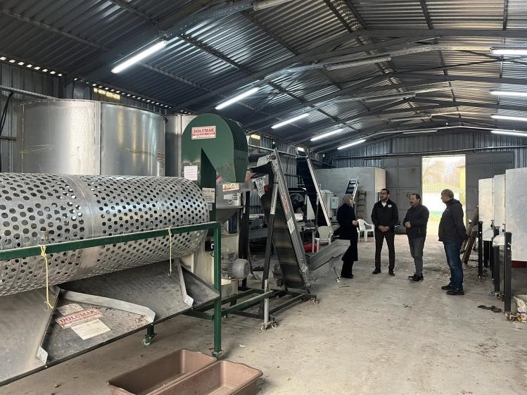 Ceviziyle &ouml;ne &ccedil;ıkan G&ouml;lpazarı&rsquo;nda &uuml;retim zinciri g&uuml;&ccedil;leniyor
