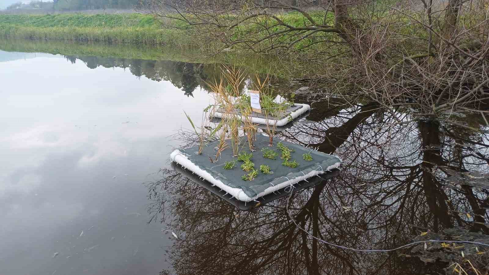 Botanik Bahçesinde "Yüzen Adacıklarla Gölet Temizliği" yapılıyor
