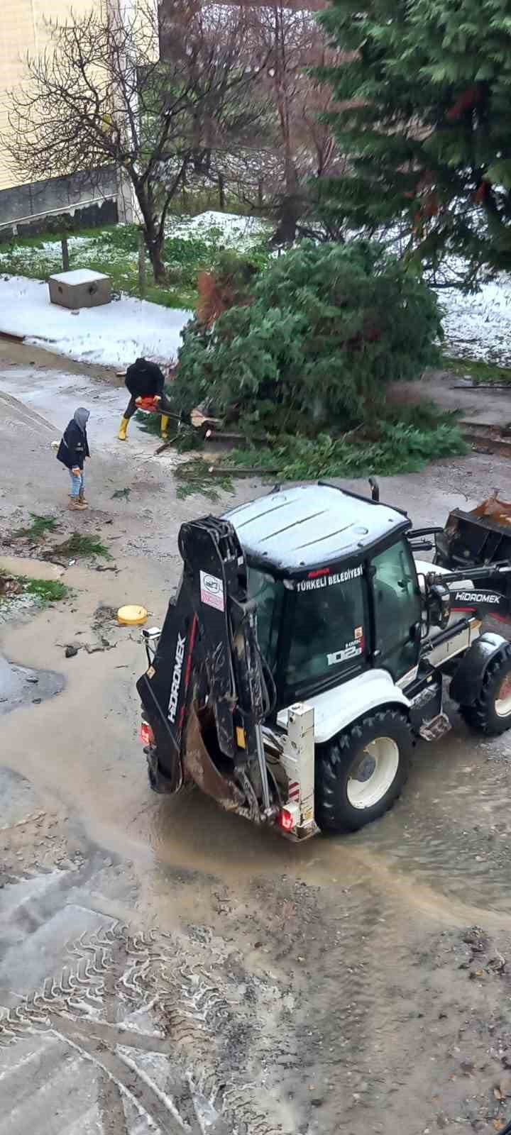 T&uuml;rkeli&rsquo;de fırtına ağa&ccedil; devirdi, yol trafiğe kapandı
