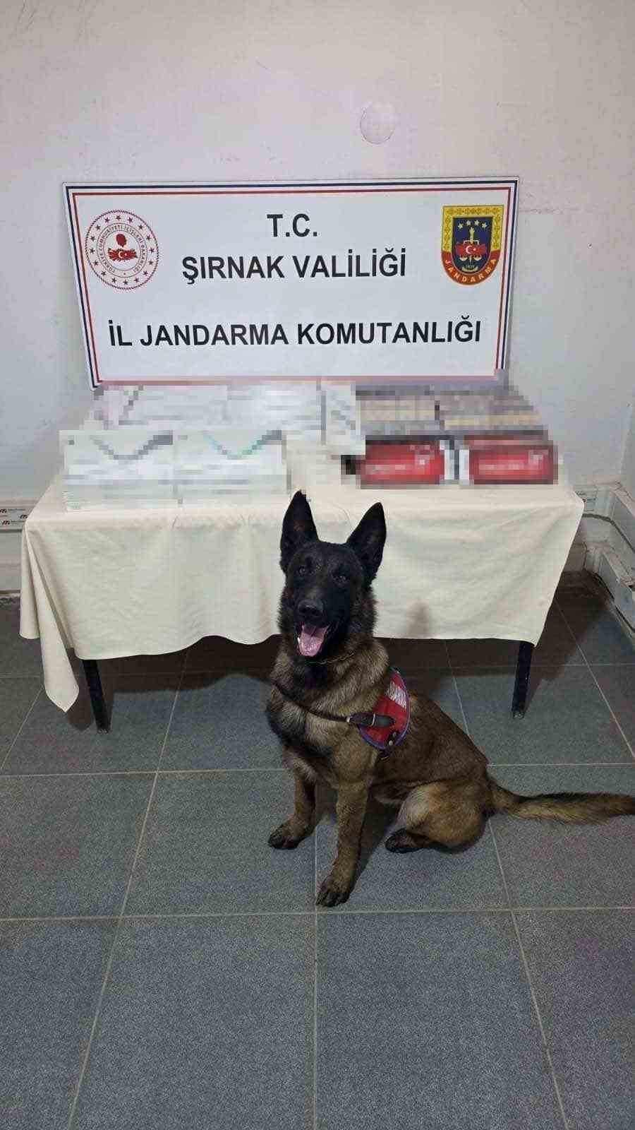 Şırnak’ta jandarmadan kaçakçılık operasyonu: 27 milyon liralık kaçak malzeme ele geçirildi