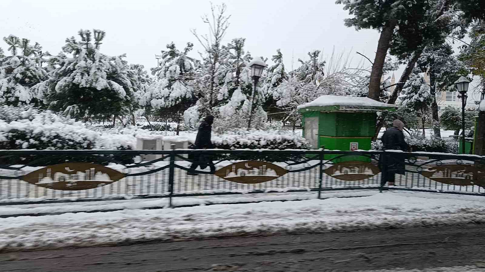 Şanlıurfa’da kar yağışı nedeniyle ağaç devrildi
