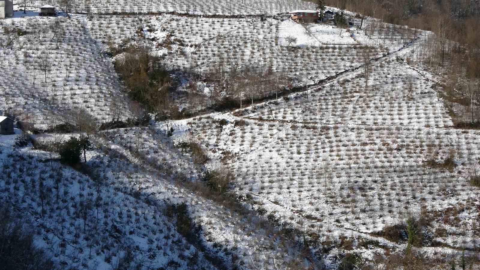Karadeniz’deki kar yağışı, fındık ve diğer tarım ürünlerine yaradı