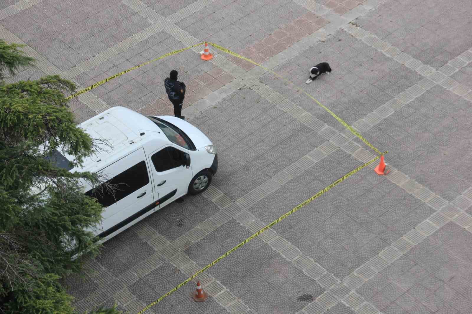 Köpekten örnek davranış: Polis şeridini ihlal etmedi