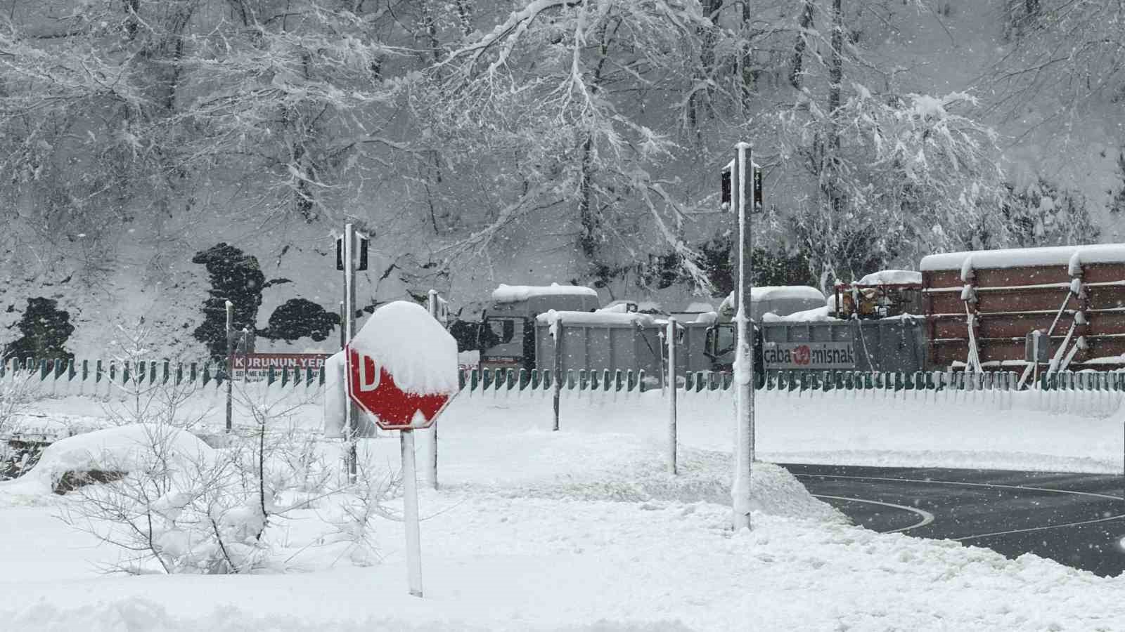 Karda yolda kalan tır, 2 &ccedil;ekici ile kurtarıldı
