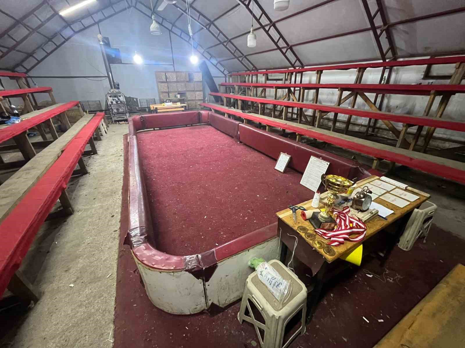 Sakarya’da horoz dövüşü operasyonu