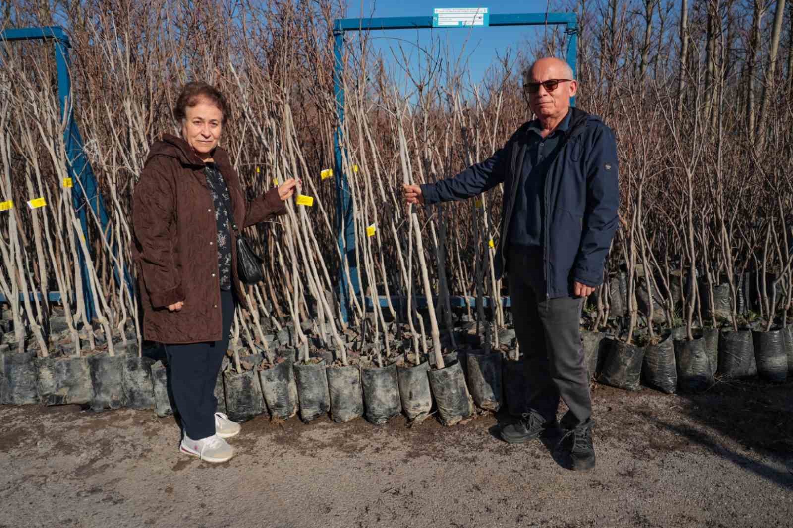 75 üreticiye 3 bin 600 fidan