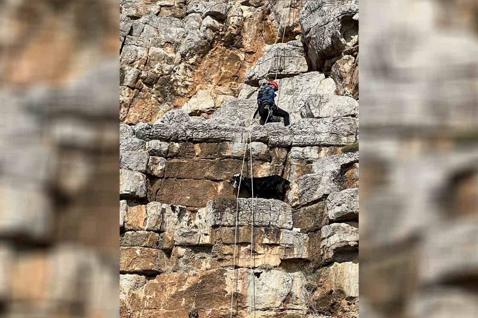 Mersin&rsquo;de sarp kayalıklarda mahsur kalan ke&ccedil;i nefes kesen operasyonla kurtarıldı
