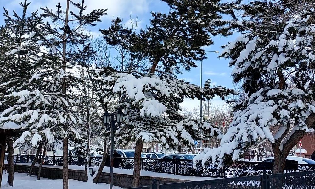 Kar yağışının ardından ağa&ccedil;larda kartpostallık g&ouml;r&uuml;nt&uuml;
