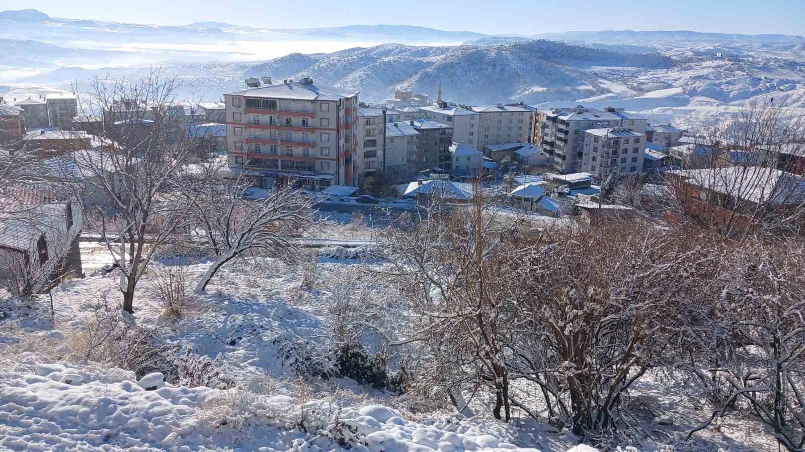 Kulp’ta tüm sokaklar buz tuttu, araçlar yola çıkamadı