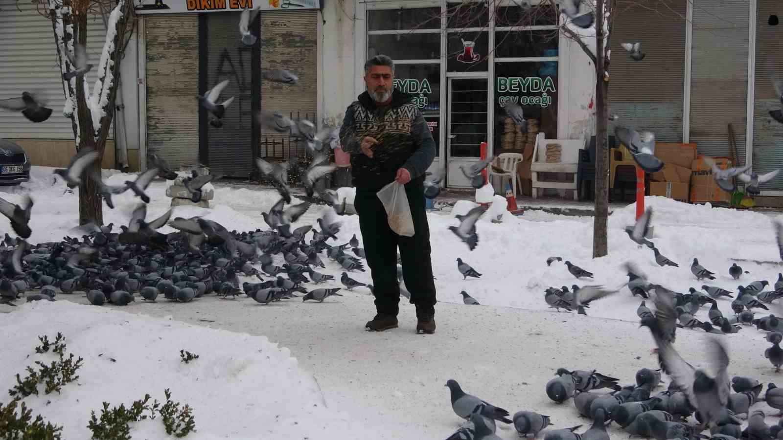 Van&rsquo;da kar sonrası g&uuml;vercinlerden g&ouml;rsel ş&ouml;len
