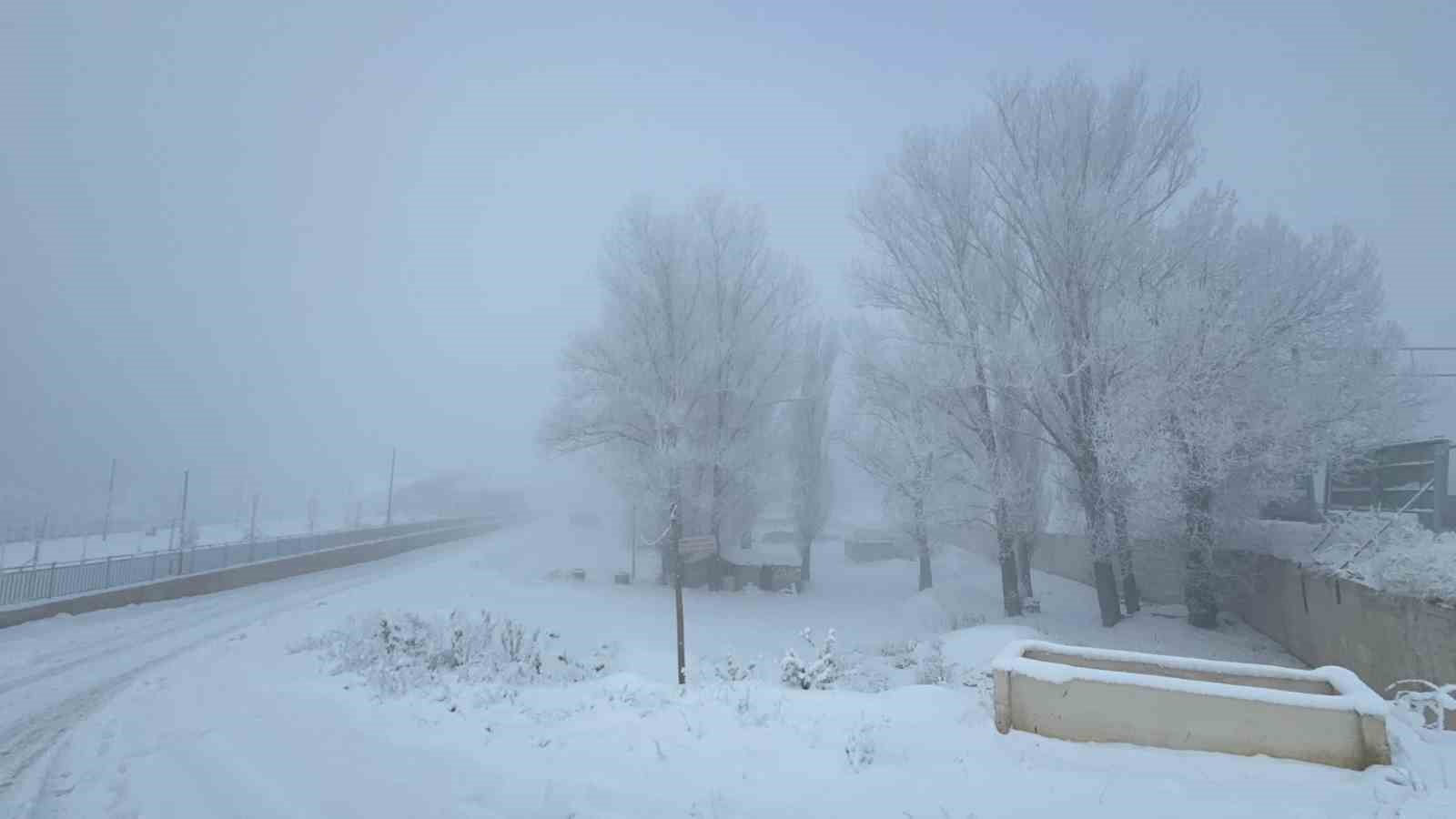 Ağrı&rsquo;da Sibirya soğukları hayatı durma noktasına getirdi
