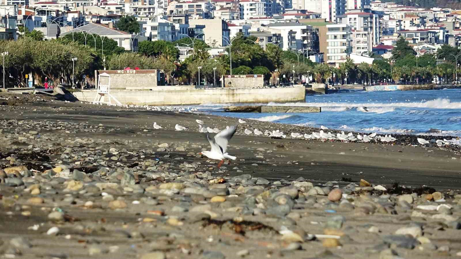 Dev dalgaların ardından Samsun sahilinde taşlı manzara