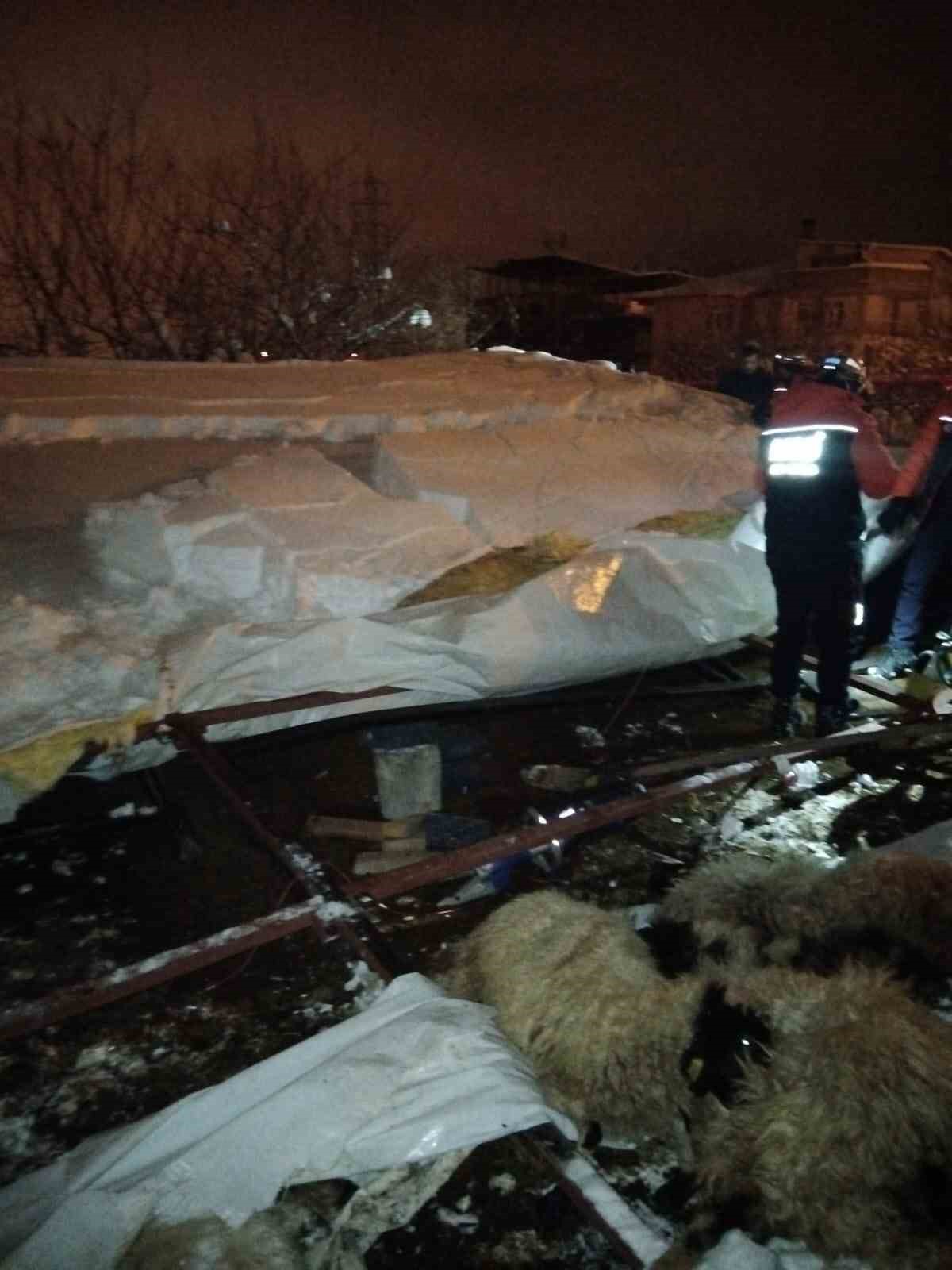 Van’da ahır çöktü, 5 küçükbaş hayvan telef oldu