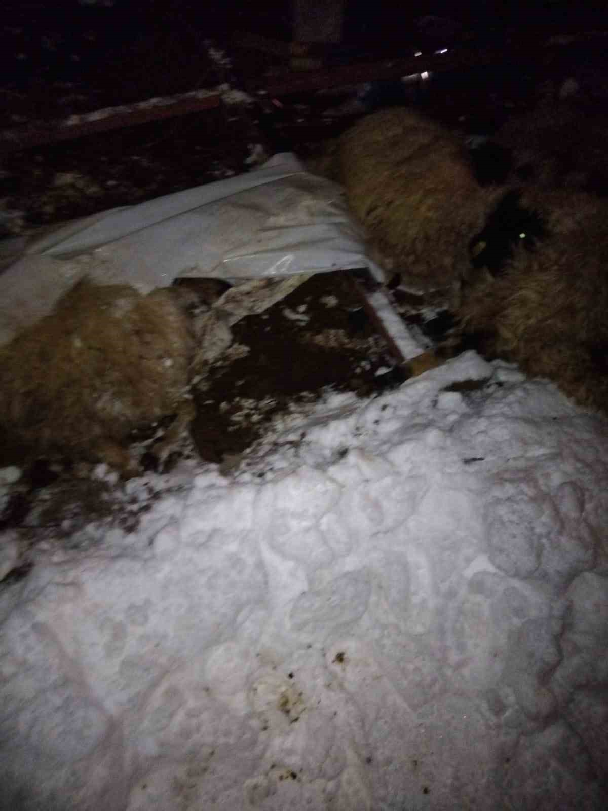 Van&rsquo;da ahır &ccedil;&ouml;kt&uuml;, 5 k&uuml;&ccedil;&uuml;kbaş hayvan telef oldu
