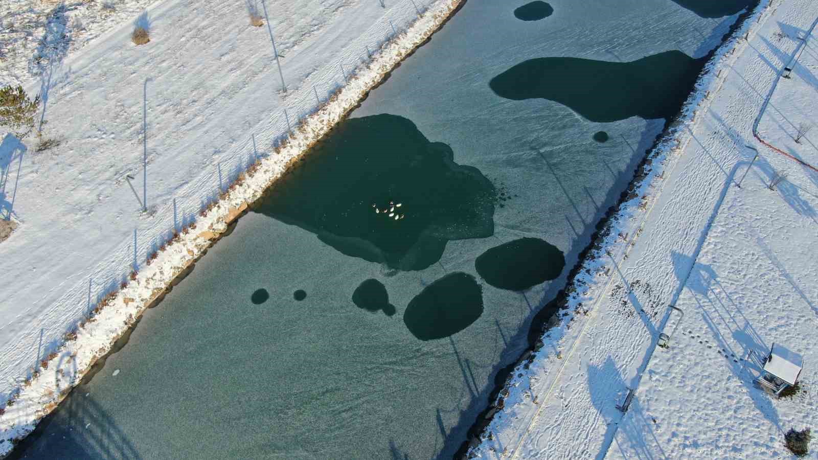 Sivas&rsquo;ta soğuk hava etkisini g&ouml;sterdi, &ouml;rdeklerin olduğu g&ouml;let kısmen dondu
