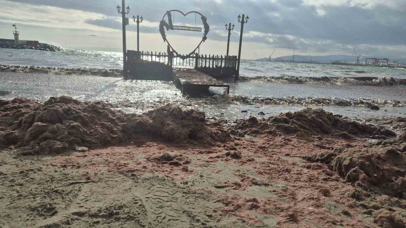 Tekirdağ’da lodos kıyıyı vurdu, kızıl yosunlar sahili kapladı