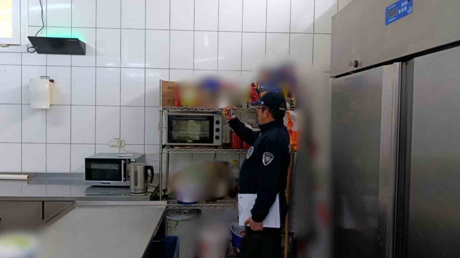 Bodrum&rsquo;da halk sağlığı i&ccedil;in sıkı denetim
