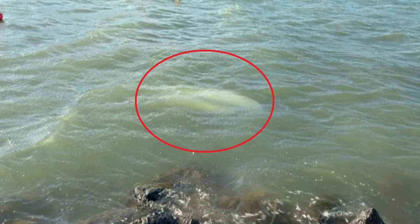 Karadeniz’de fırtına: Samsun’da 3 tekne battı