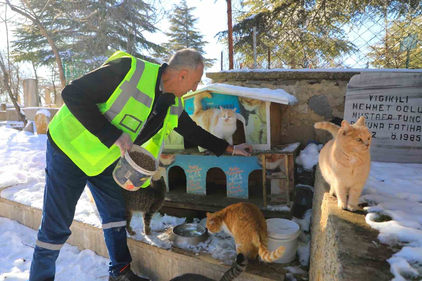 Elazığ’da doğaya yem bırakıldı