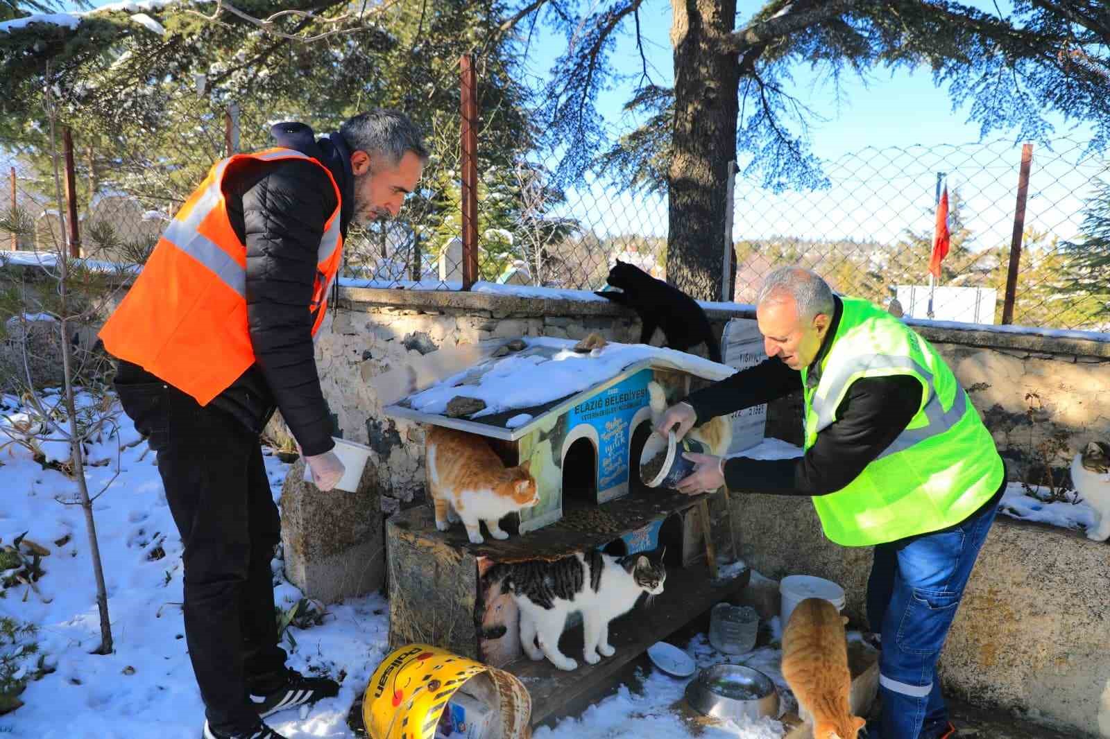 Elazığ&rsquo;da doğaya yem bırakıldı
