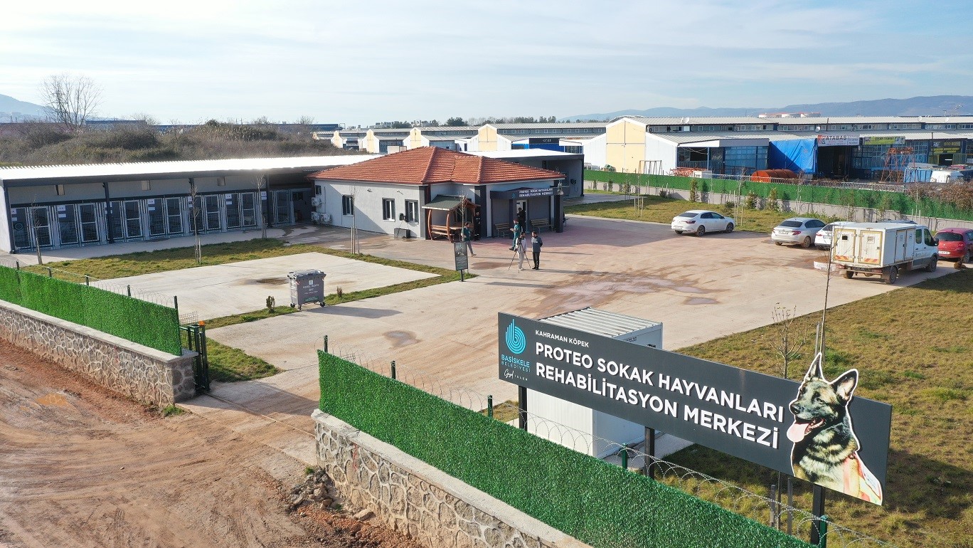 Sokak hayvanlarının yaşam alanı genişletiliyor
