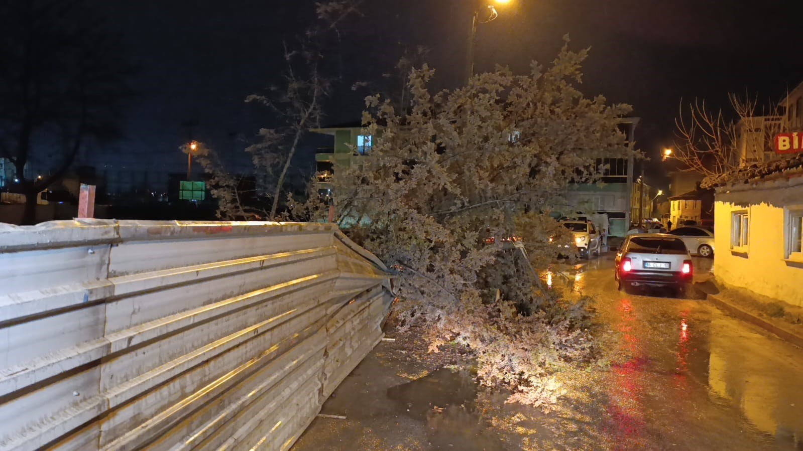 İnegöl’de rüzgarın etkisiyle ağaç devrildi