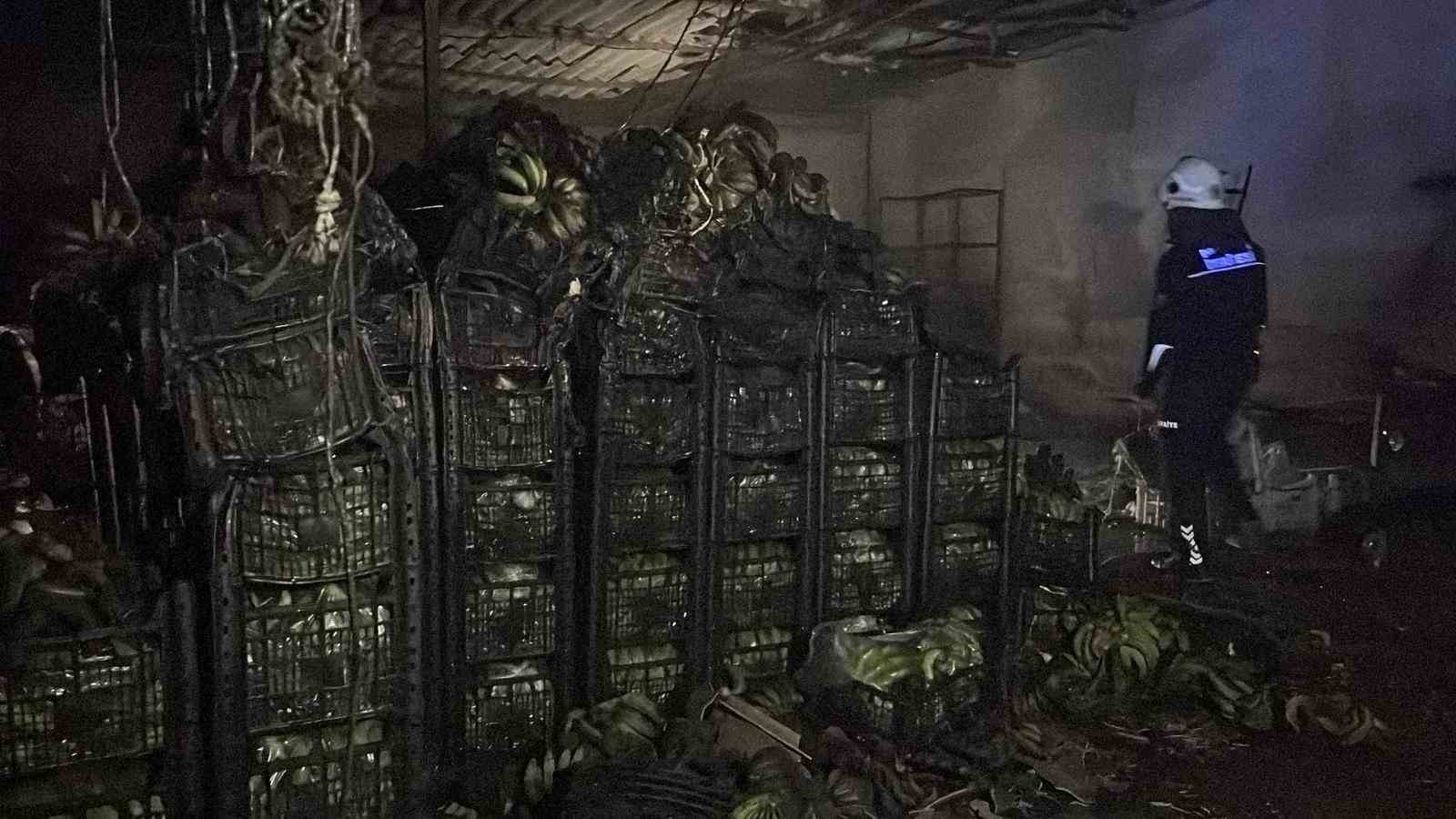 Alanya’da muz sarartma tesisinde yangın: Tonlarca muz zarar gördü