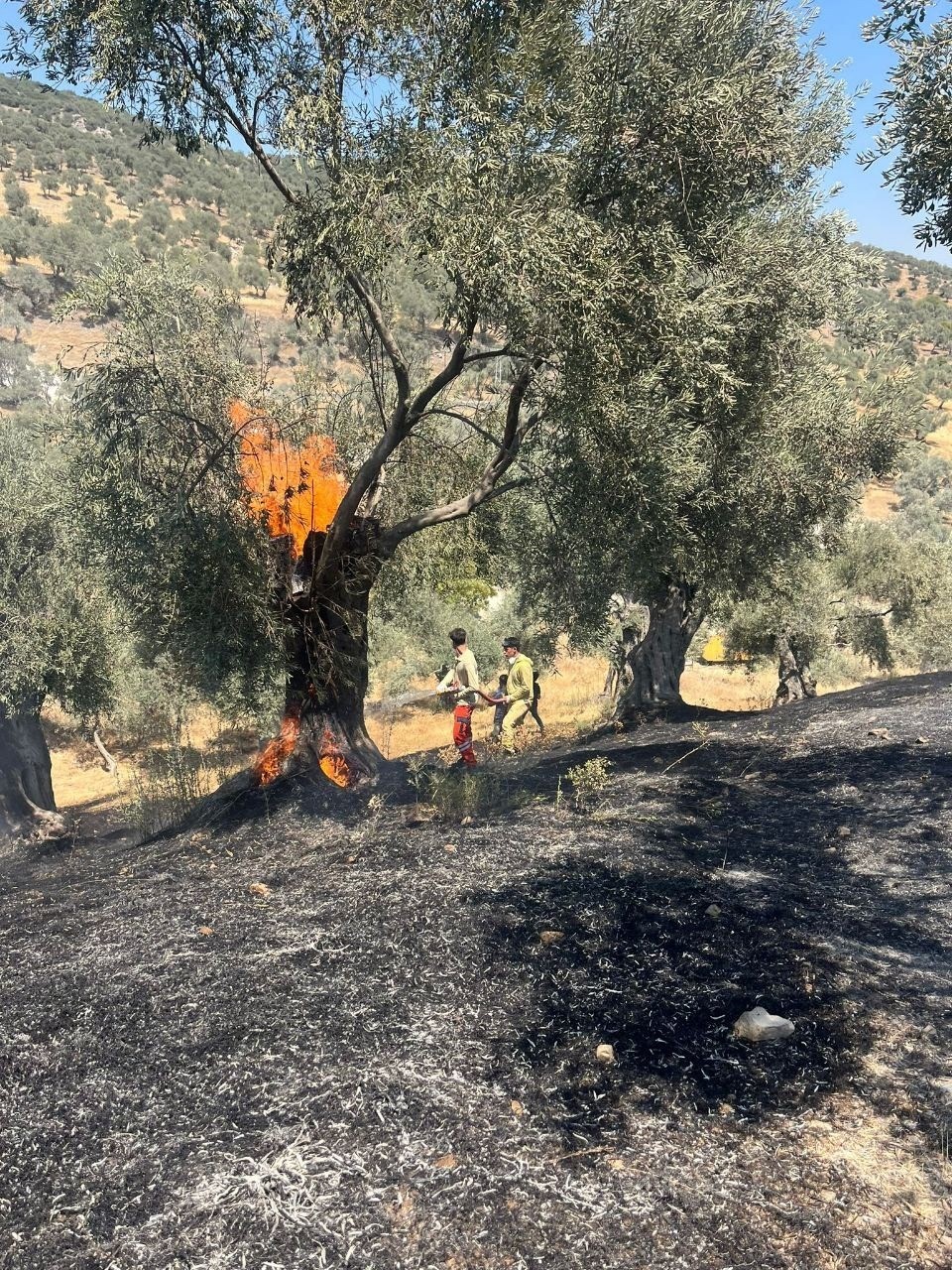 Aydın’da ateş savaşçılarının 2025 yılı böyle geçti