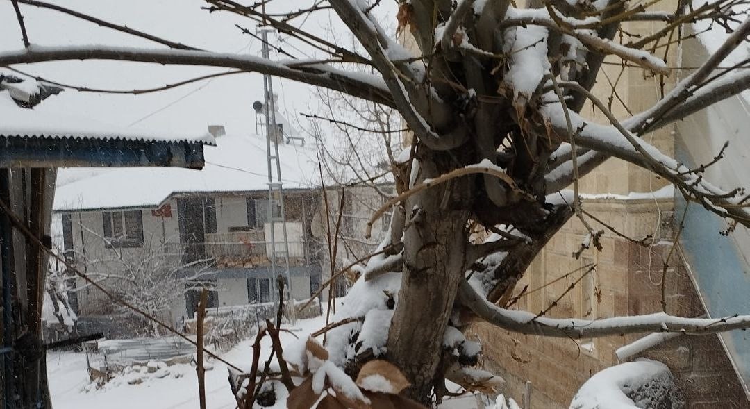 Adana’nın Tufanbeyli ilçesi karla kaplandı