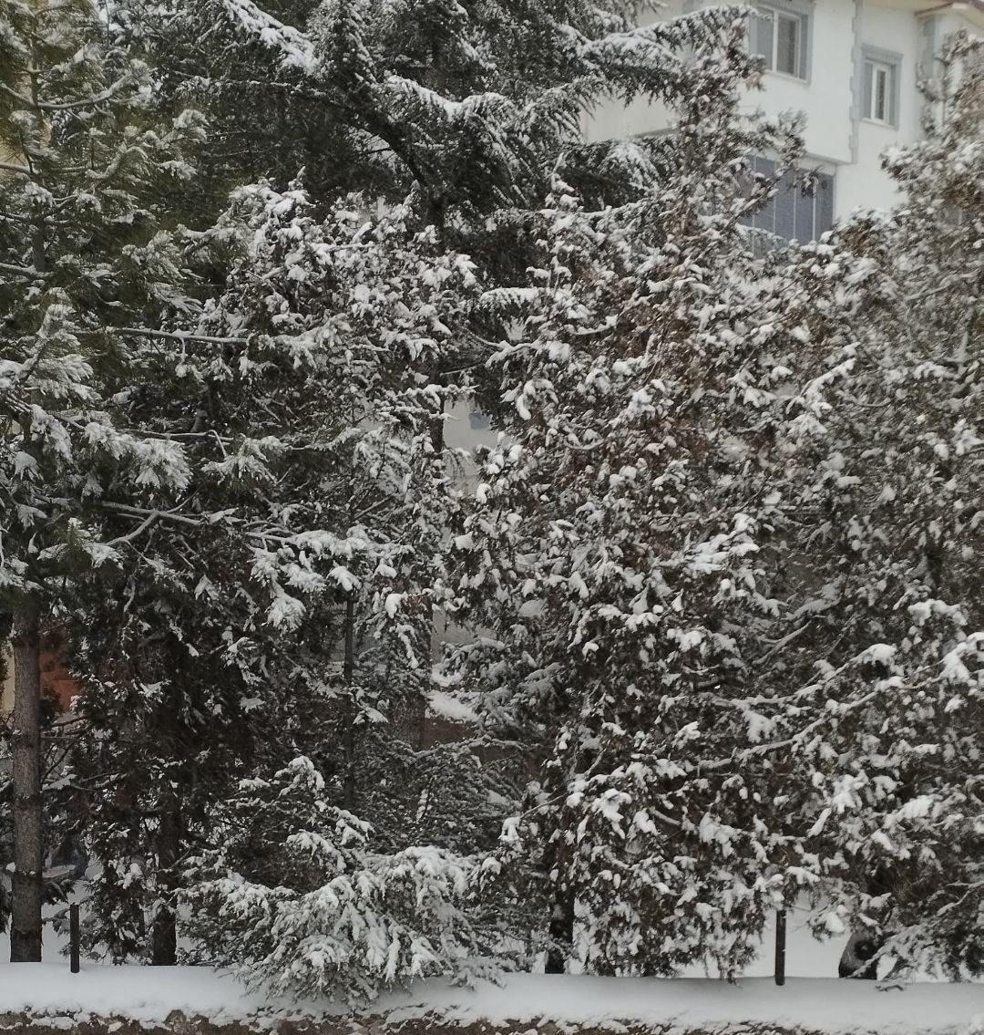 Adana&rsquo;nın Tufanbeyli il&ccedil;esi karla kaplandı
