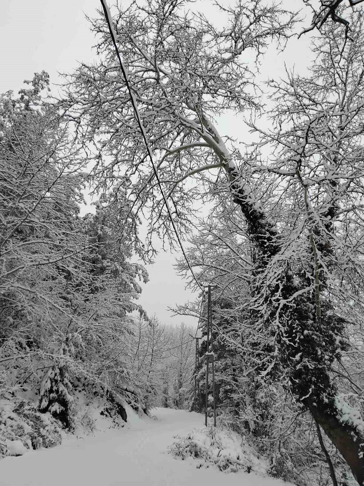 Adanalıların kar sevinci
